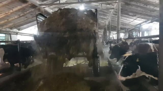 Колхозные телодвижения или Предновогодняя суета / новые подарки! / РАЗВАЛИЛСЯ ГРЕЙФЕР под Новый год смотреть онлайн