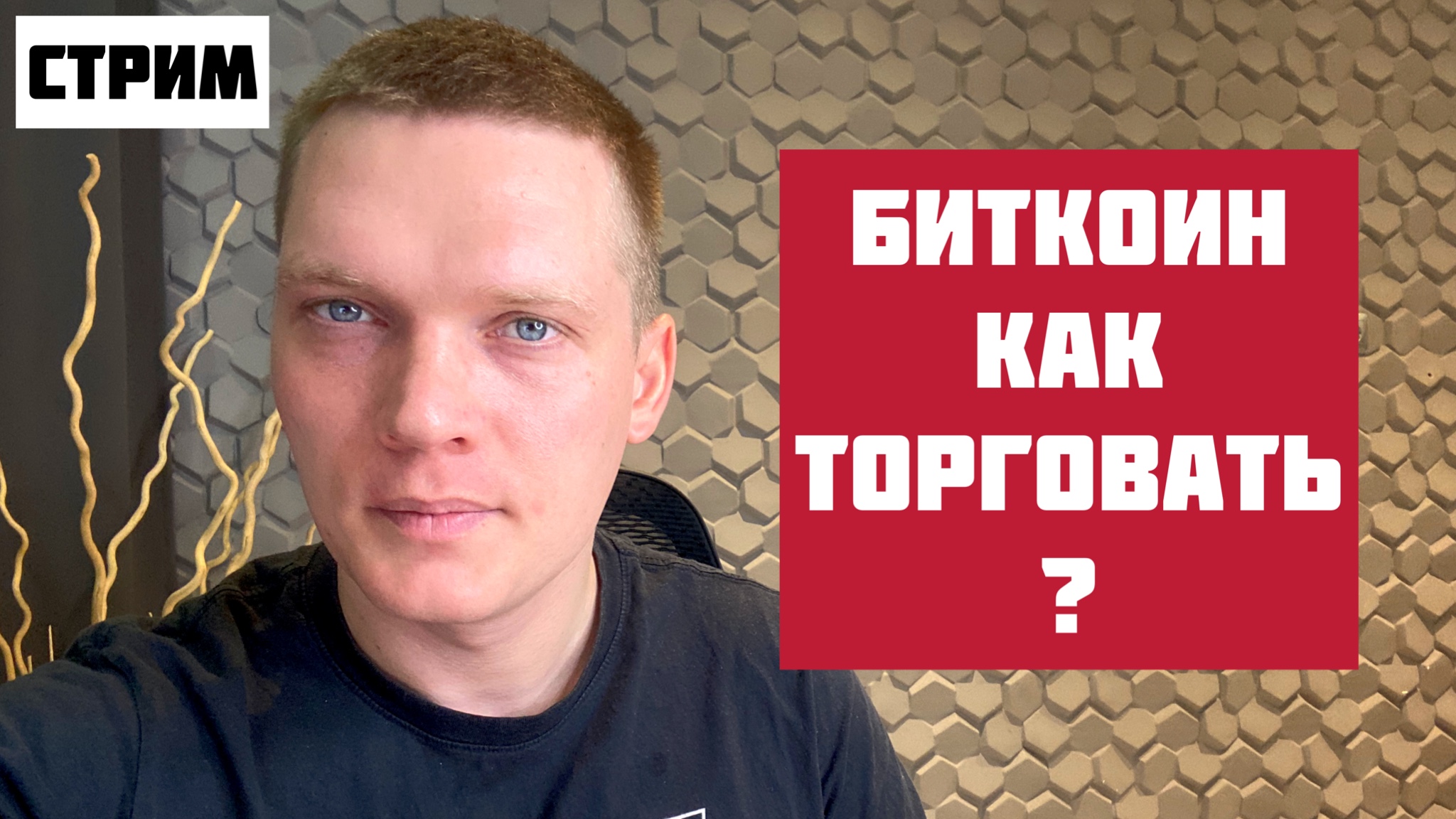 ? БИТКОИН И АЛЬТКОИНЫ. КАК СЕЙЧАС ТОРГОВАТЬ? КРИПТОВАЛЮТА. смотреть онлайн