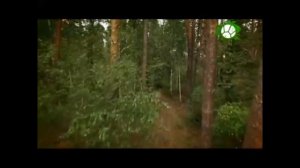 ЗАПОВЕДНИКИ ВОРОНЕЖСКОЙ ОБЛАСТИ