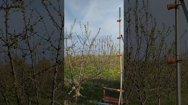 Обработка черешневого сада. Садовый опрыскиватель. смотреть онлайн