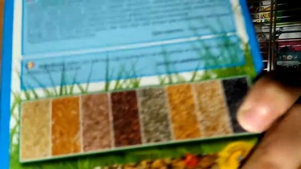 Чем кормить амадин