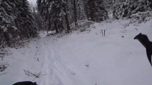 На лыжах в самодельных камусах из ПВХ. Первые впечатления смотреть онлайн