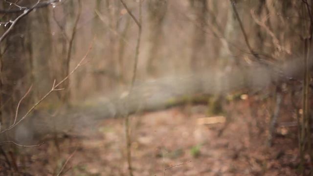 2015 03 21 Брод смотреть онлайн