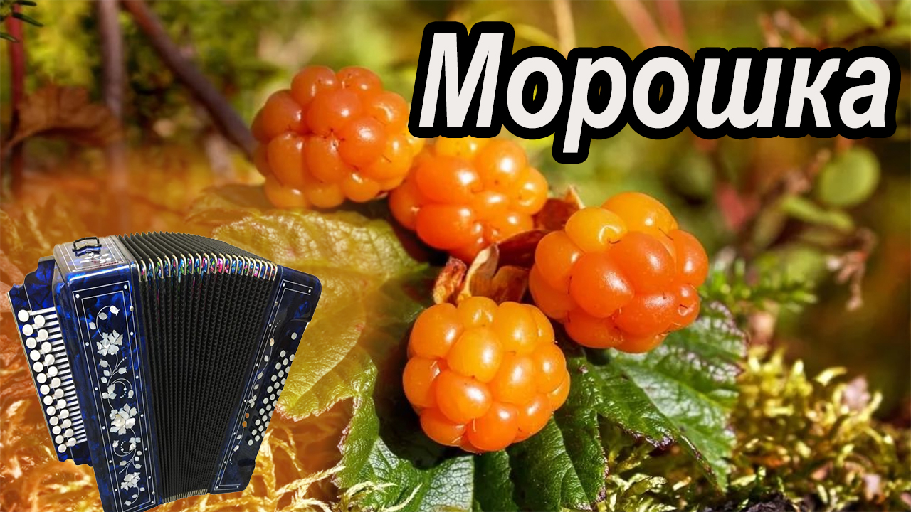 Морошка разбор смотреть онлайн