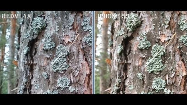 Сравнение камер Xiaomi Redmi 4x vs Iphone 5s. смотреть онлайн