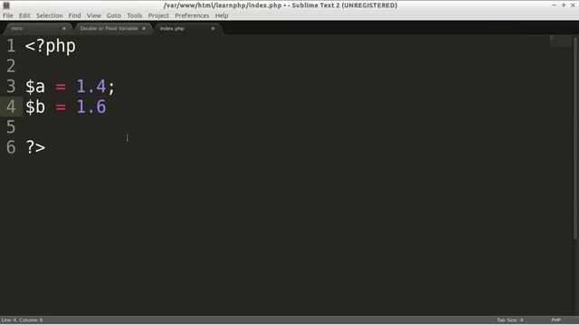 12 : Double or Float Variable | Complete Easy PHP Tutorial For Beginner смотреть онлайн