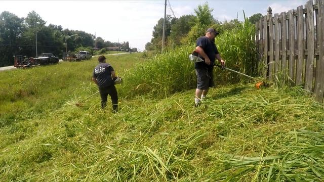 STIHL FS 560 C-EM DESTROYS God Like Grass смотреть онлайн