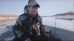 Ловля щуки в Тюменской области