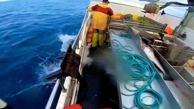 Amazing Automatic Lines, Catching And Processing Fish Right On Ship, Big Catch In The Sea.▶3
