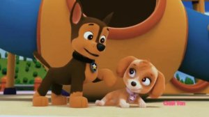 Гонщик и Скай ~мама Мия