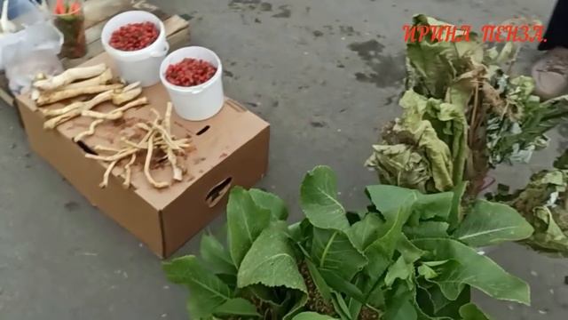 ?РЫНОК У ВОКЗАЛА.???ЦЕНЫ у ЧАСТНИКОВ???ЧТО КУПИЛИ ???