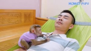 Monkey Pupu arbitrarily played with his dad phone and was discovered by his dad