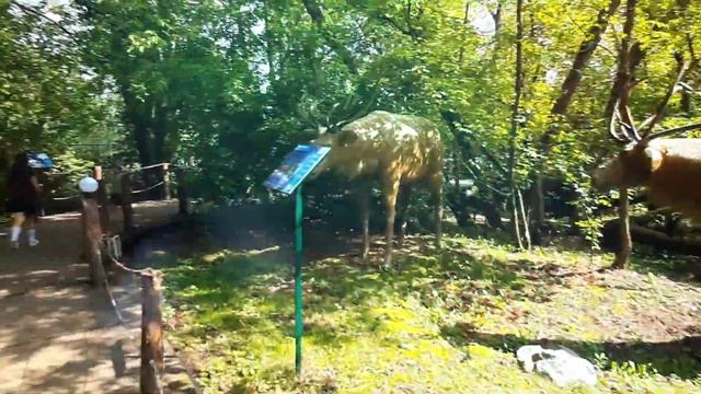Парк Динозавров, Аминка и Амир смотреть онлайн