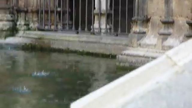 Гуси в кафедральном соборе Барселоны смотреть онлайн