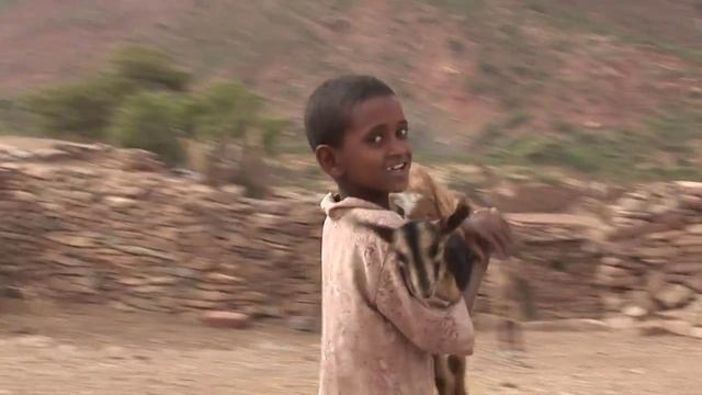 Ethiopia (Africa) / Эфиопия (Африка)