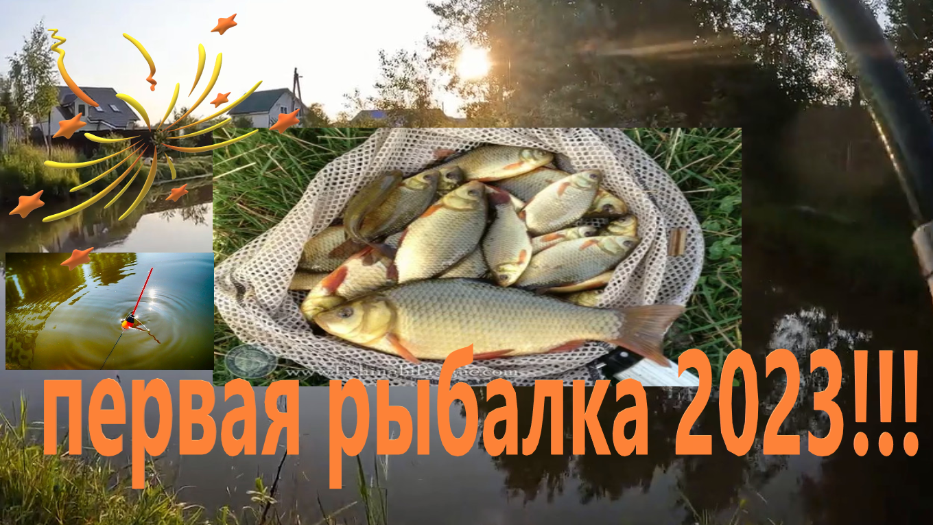 Первая рыбалка летом 2023 на маленьком пруду!!! Первый карась) смотреть онлайн
