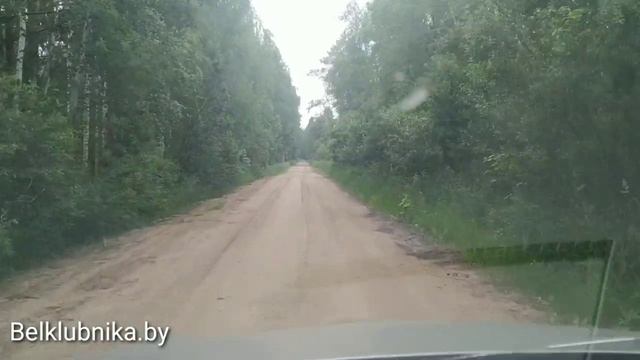 Торф для рассады. Торфодобыча. Belklubnika.by.mp4 смотреть онлайн