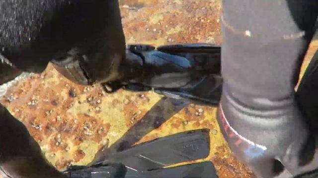 The Best Upgrade for Your Dive Fins смотреть онлайн