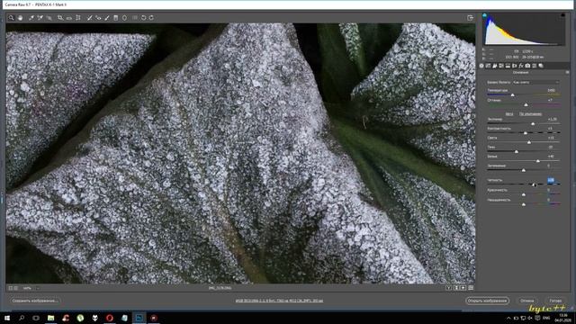 Camera Raw. Учимся работать с RAW. Базовые навыки. Всё что нужно знать для работы. смотреть онлайн
