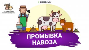 Промывка навоза / Директ Фарм