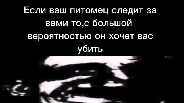 Ты услышал этот факт-7(Мистер Исключительный жуткие лица) смотреть онлайн