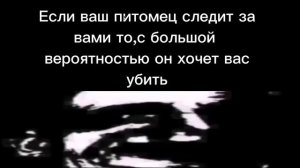 Ты услышал этот факт-7(Мистер Исключительный жуткие лица)
