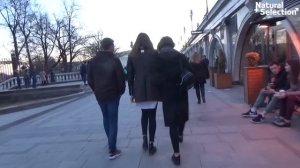 Как начать знакомство с девушкой. Давид Багдасарян