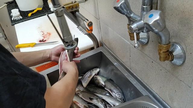 Как правильно чистить рыбу? Как правильно делать филе из целой рыбы быстро и без потерь? Часть 1