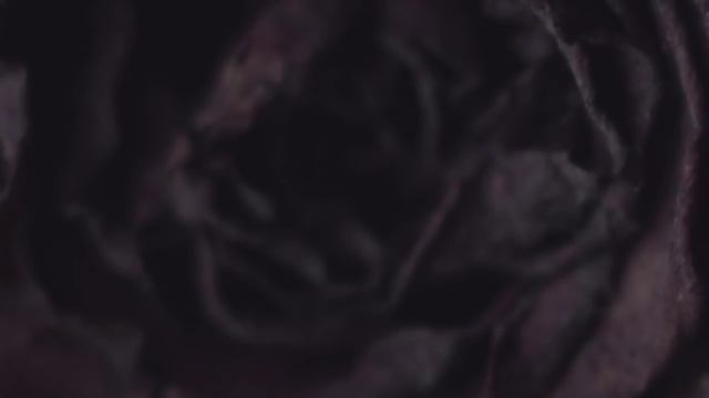 Снежная Вязь - Солоинк Найс /// Классика поэзии, песни на стихи А.Блока смотреть онлайн