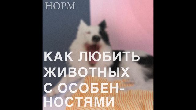 Норм. Как любить животных с особенностями. Истории пса Снитча и кота Цезаря смотреть онлайн
