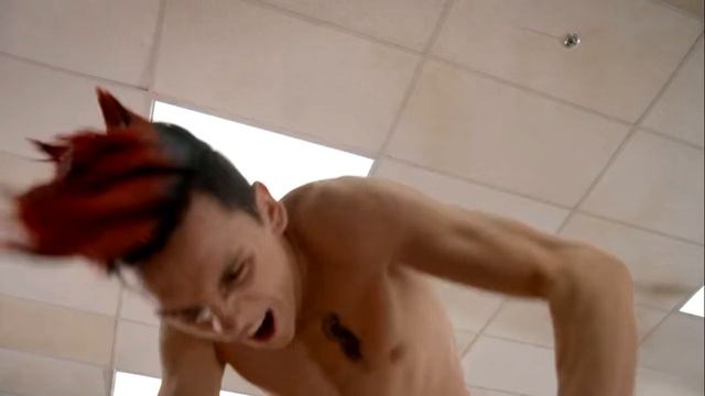 HAWK UNLEASHED! HAWKS RAGE AND THE TRUE EFFECTS OF BULLYING! - Scene Analysis смотреть онлайн
