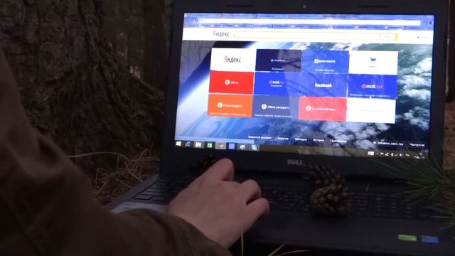 Мобильный интернет от "Билайн" работает даже в лесу :-) смотреть онлайн