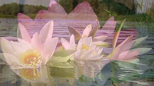 Snatam Kaur - Jin Prem Kio Tin Hee Prabh Paayo (with subtitles english/french) смотреть онлайн