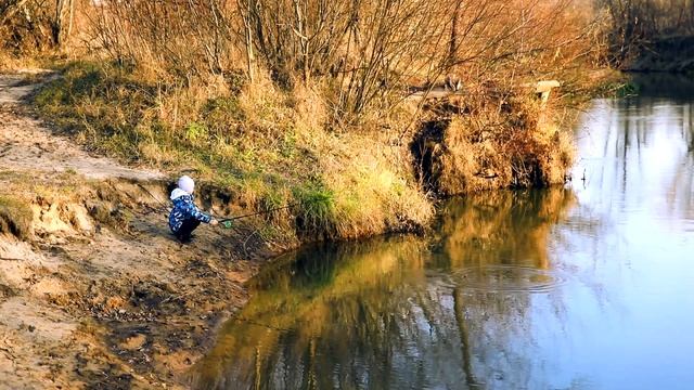 р. Навля (Осень 2021г.)