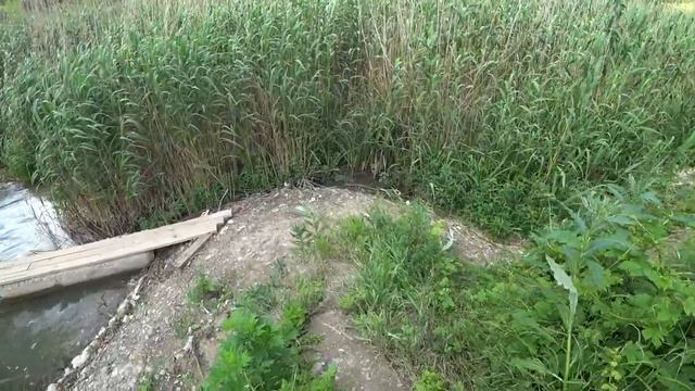 Абрау Дюрсо-Новороссийск. Птичку жалко смотреть онлайн