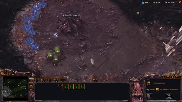 СТРИМ STARCRAFT 2 ВЕЧЕРНЯЯ ТРЕНЯ смотреть онлайн