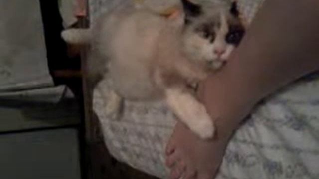 Классика, это что-то... смотреть онлайн