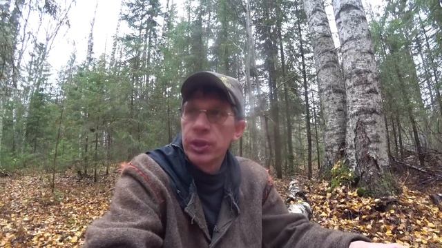 Полдня бродили в тайге. Птица улетает от лая собаки. 6 серия //ВТОРАЯ ИЗБА ОСЕНЬ 2022// смотреть онлайн