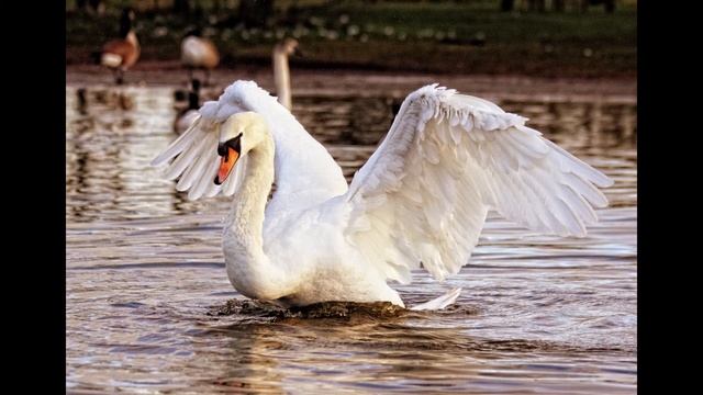 Classical Music Beautiful Piano Классическая Музыка Пианино