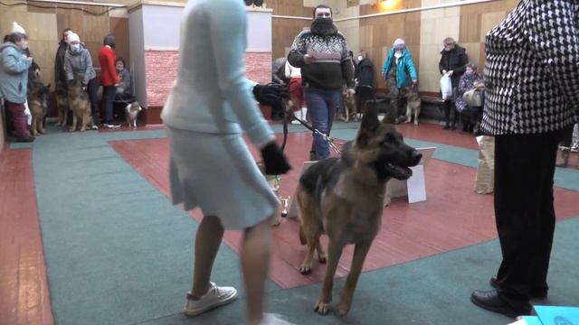 00141 1 группа вся смотреть онлайн