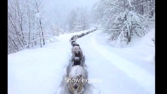 The 100 Best Photographs Ever Taken ! смотреть онлайн