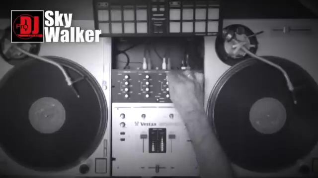 Hip Hop OldSchool RnB Rap 2000s 90s Music | DJ SkyWalker