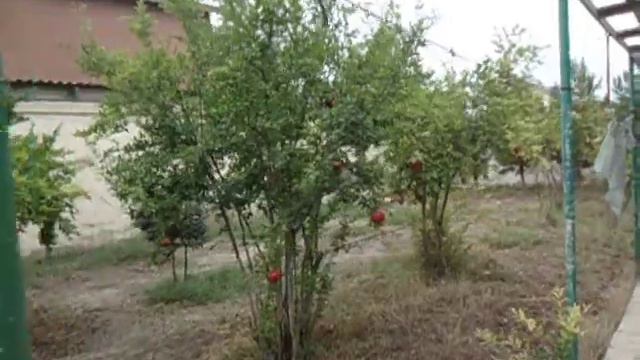 на кухне на даче в Говсанах смотреть онлайн