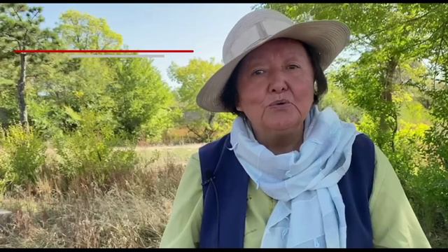 Следующая ступень в жизни. А Вы готовы? смотреть онлайн