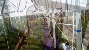 ОТОПЛЕНИЕ ТЕПЛИЦЫ  Способы обогрева теплицы зимой