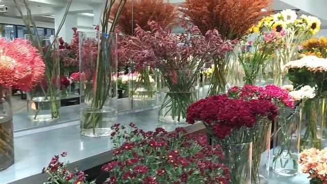 Цветы!Какие они разные! Алматы.Казахстан.