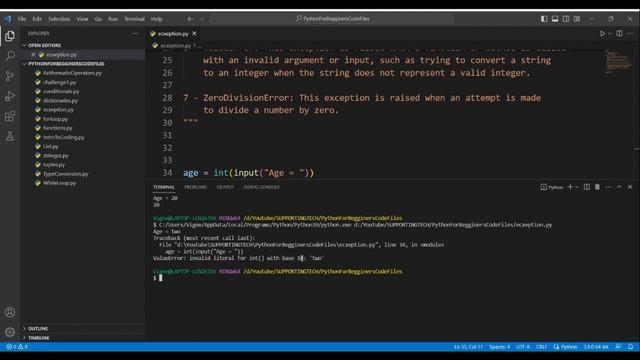 PYTHON - EXCEPTION HANDLING (16) смотреть онлайн
