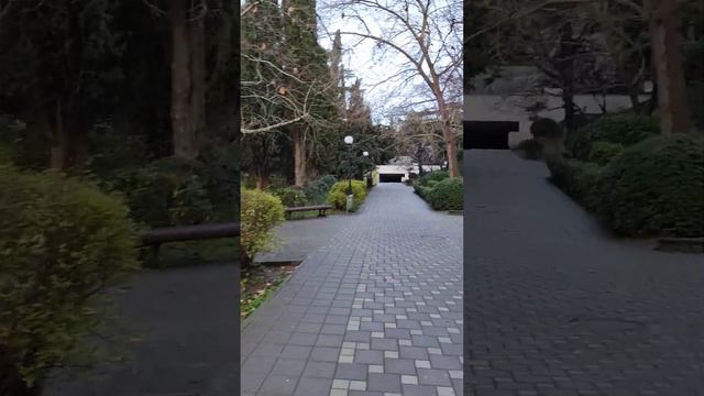 Ялта 💖💖💖 Утренняя прогулка и наслаждение звуками природы 🐦🎶🌿 Сквер им. Некрасова смотреть онлайн