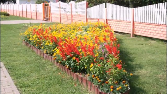 Белыничи Могилевская область смотреть онлайн