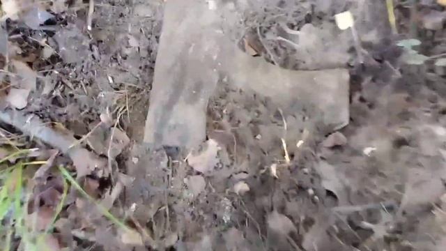 Осенний Поиск металлоискателем в Урочище 2023 г. смотреть онлайн